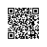 VJ0402D0R6CLBAP QRCode