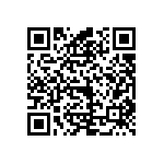 VJ0402D0R9BXCAJ QRCode