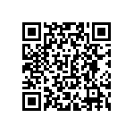 VJ0402D300MLXAJ QRCode