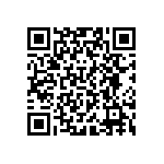 VJ0402D4R3BLXAJ QRCode