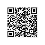 VJ0402V333ZXJCW1BC QRCode