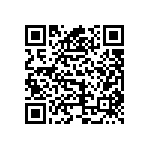 VJ0603D300MLPAJ QRCode