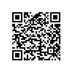 VJ0805D240KXPAP QRCode