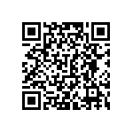 VJ0805D301MLBAR QRCode