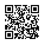 VO3811510000G QRCode