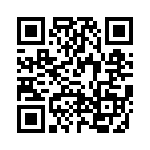 VX4011310000G QRCode