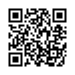 W33-S2N1Q-10 QRCode