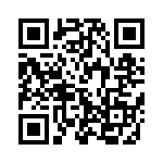 W33-T4C1Q-12 QRCode