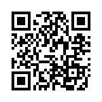 WP383YDT QRCode