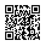 X4165PIZ_222 QRCode