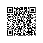 XCV300E-7FG456I QRCode