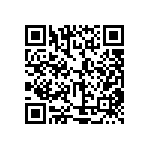 XMLBWT-00-0000-0000T60E1 QRCode