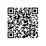 XMLBWT-02-0000-0000T6053 QRCode