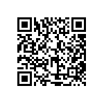 XMLBWT-02-0000-000PT2053 QRCode