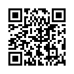 XW4L-09A1-V1 QRCode