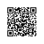 Y006248R0000T9L QRCode