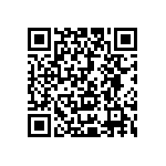 Y009511K8800T0L QRCode