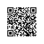 Y010130R0000F9L QRCode