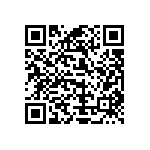 Y078538K3000T9L QRCode