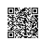 Y078560R4000B9L QRCode