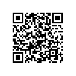 Y09251K60000B9L QRCode