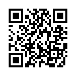 Y100132V203NQ QRCode