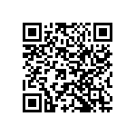 Y11213K24000B9R QRCode