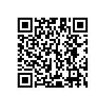 Y11217K95780T139R QRCode