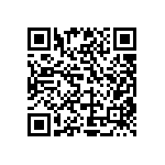 Y11217K95780T13R QRCode