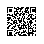 Y11691K21000T0L QRCode