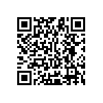 Y11691K25000B9L QRCode