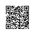 Y11691K91100T0L QRCode