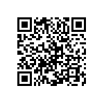 Y11696K19000B0L QRCode