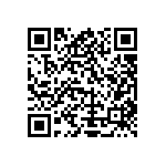 Y11696K97400T9L QRCode