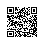 Y11699K09000T0L QRCode