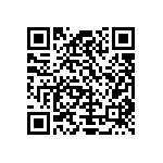 Y11721K66600T9W QRCode