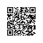 Y1453730R341V9L QRCode