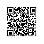 Y162410R0000D9R QRCode