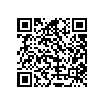 Y16241K03070T9R QRCode