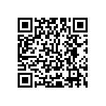 Y16241K05800T9R QRCode