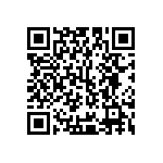 Y16241K17600B9W QRCode