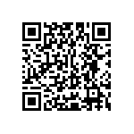 Y16241K21000T9W QRCode