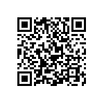 Y16241K80000T9R QRCode