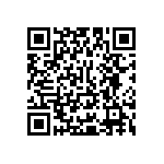 Y16242K20000T9R QRCode