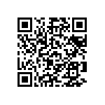 Y16243K01000B9R QRCode