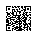 Y16243K30000T9R QRCode