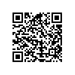 Y16245K90000B9W QRCode