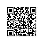 Y16246K19000B0R QRCode