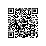 Y16247K20000T9R QRCode