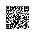 Y16247K88000B9R QRCode